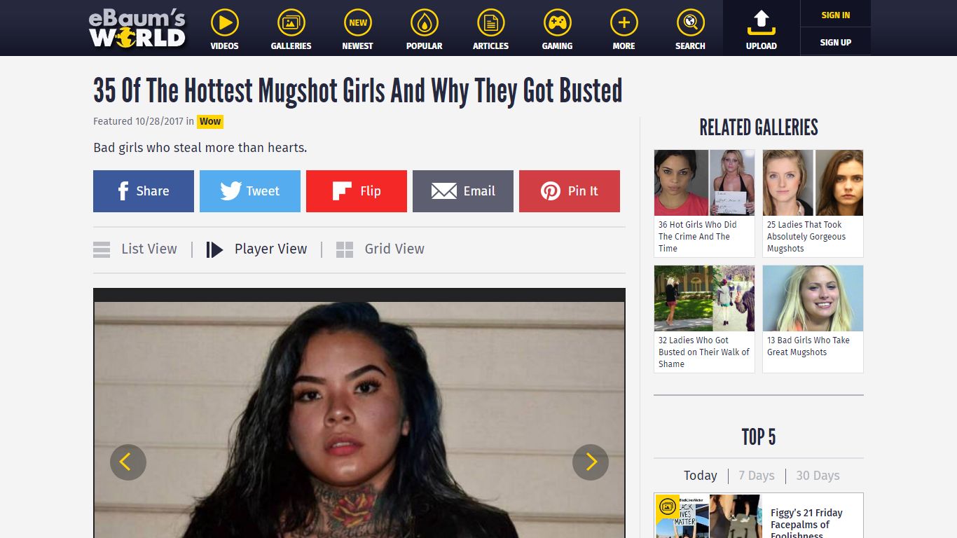 35 Of The Hottest Mugshot Girls And Why They Got Busted